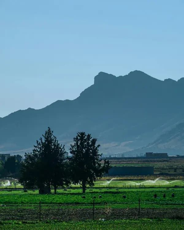 Algeria