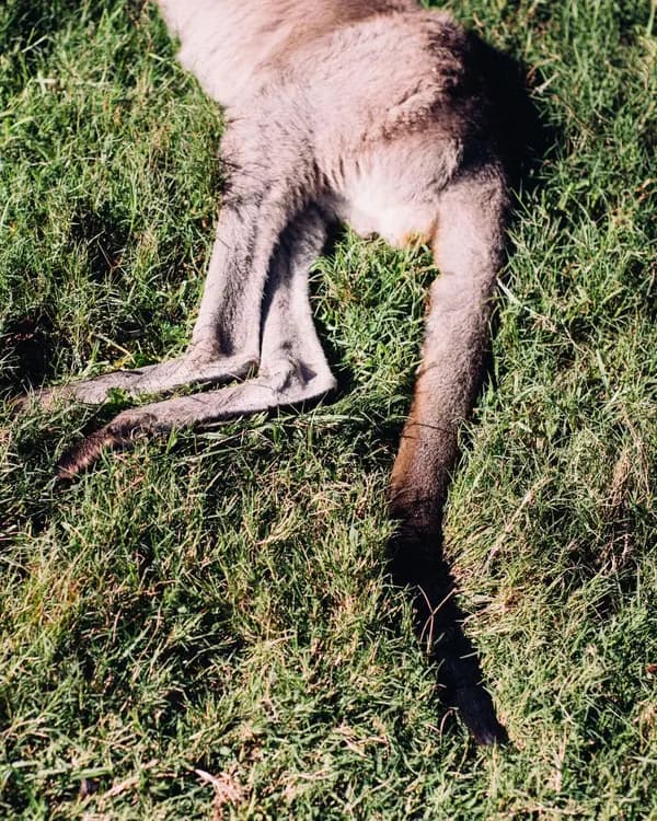 Australia
