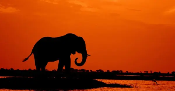 Botswana