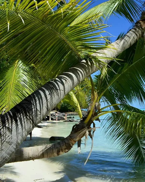 French Polynesia