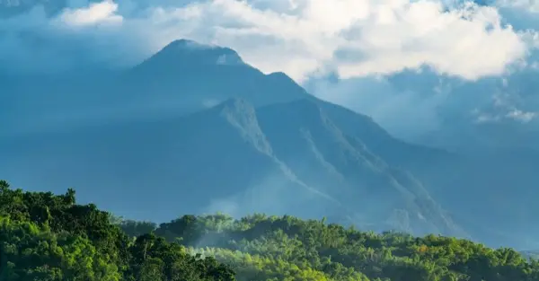 Jamaica