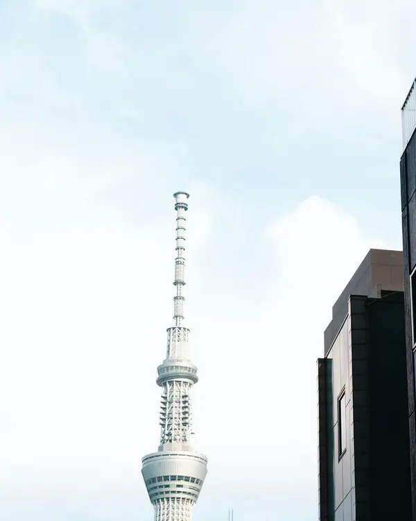日本