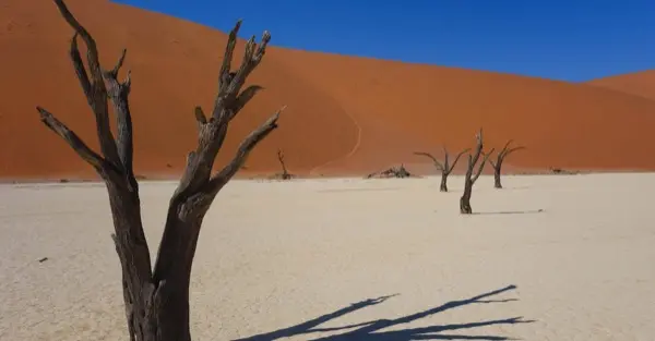 Namibia