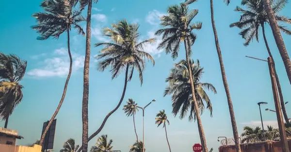 Togo