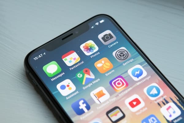 Phone showing Flexiroam app